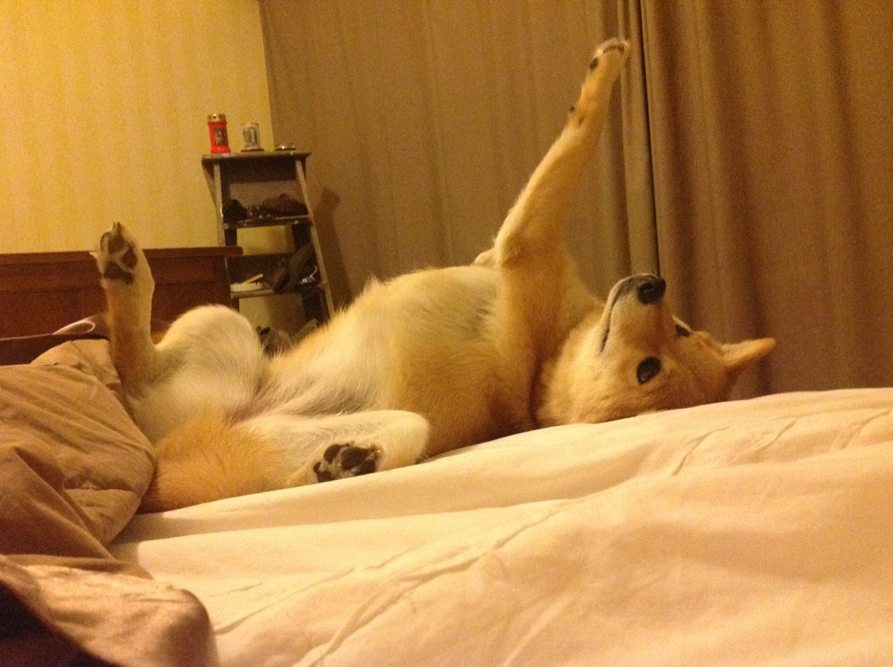 足球新秩序的冰山一角,从拜仁的瑞士压制到富安健洋的亚洲崛起