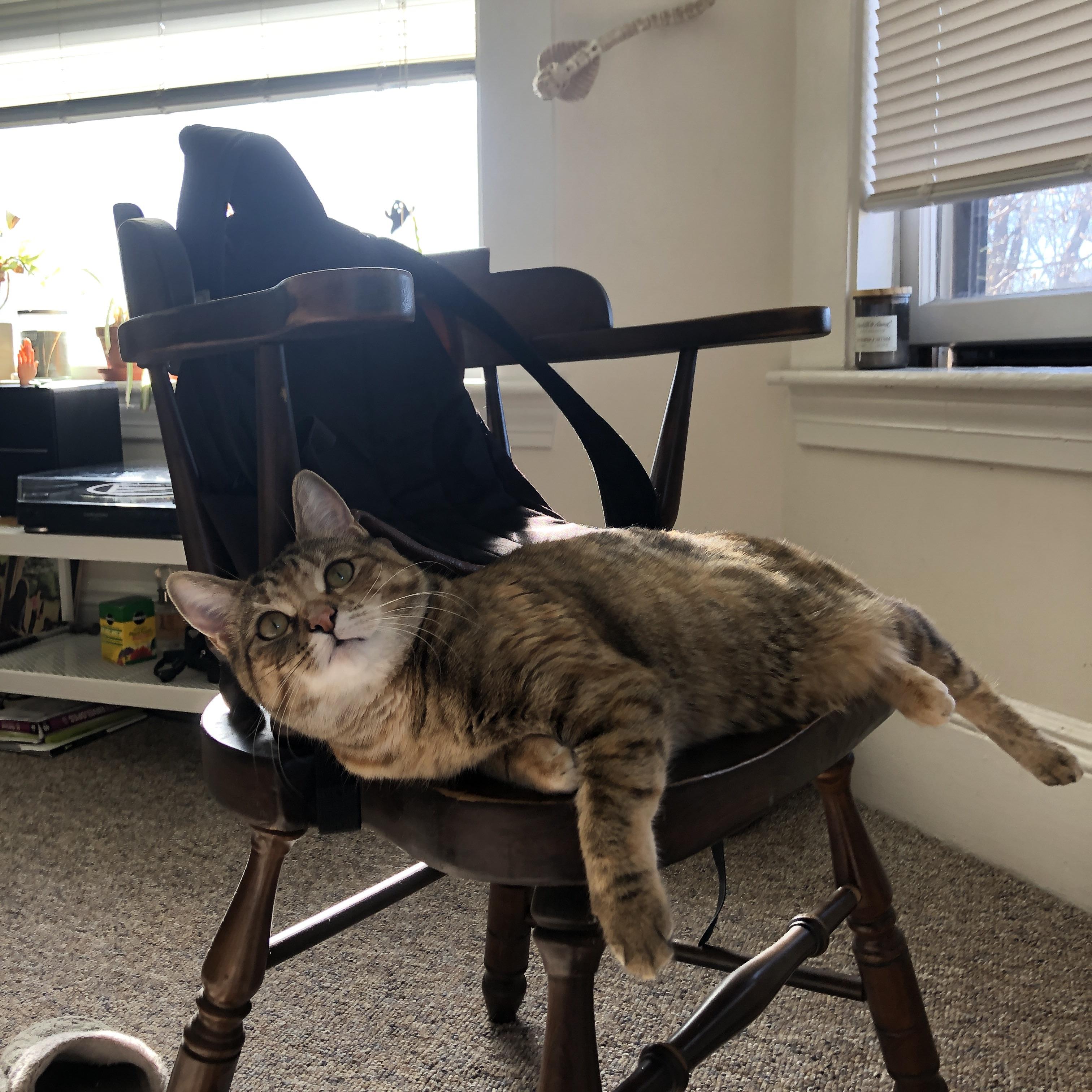 铁卫化身利刃！阿劳霍头槌双响导演逆转，德甲争冠夜诞生新传奇