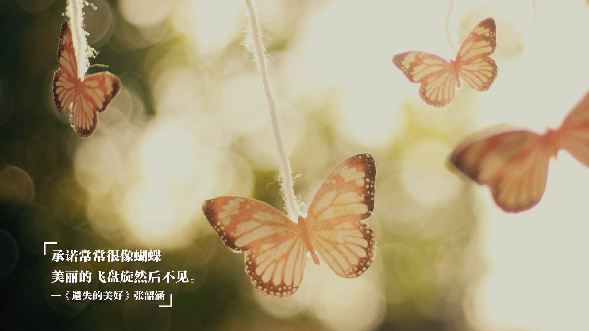 荒漠之锁与绿洲闪电,澳大利亚防线如何绞杀马竞,努涅斯撕裂黑暗